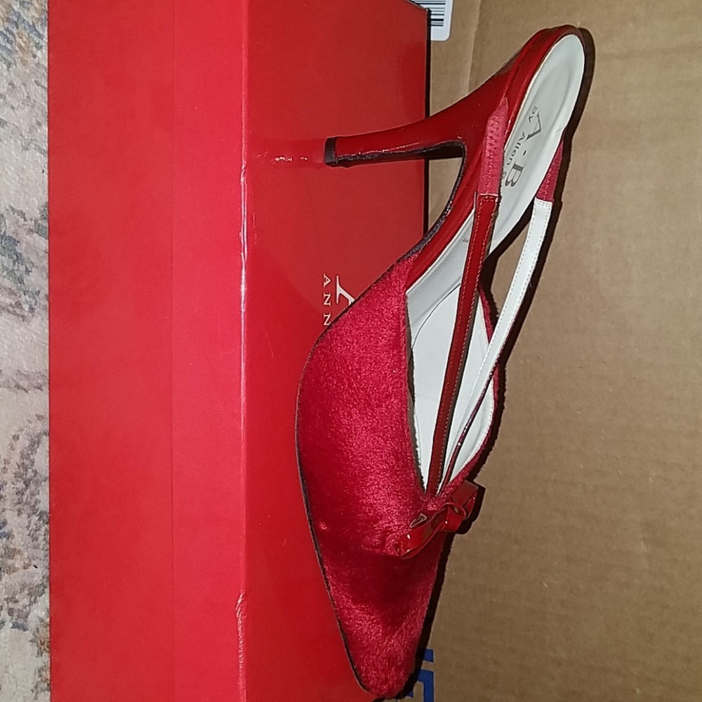 Anne Klein shoes